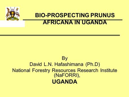 BIO-PROSPECTING PRUNUS AFRICANA IN UGANDA By David L.N. Hafashimana (Ph.D) National Forestry Resources Research Institute (NaFORRI), UGANDA.