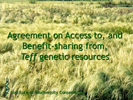 Agreement on Access to, and Benefit-sharing from, Teff genetic resources Institute of Biodiversity Conservation.