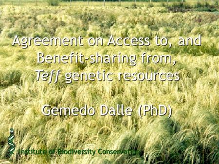 Agreement on Access to, and Benefit-sharing from, Teff genetic resources Gemedo Dalle (PhD) Institute of Biodiversity Conservation.