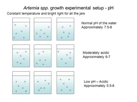 Artemia spp. growth experimental setup - pH Normal pH of the water Approximately 7.5-8 Low pH – Acidic Approximately 5.5-6 Moderately acidic Approximately.
