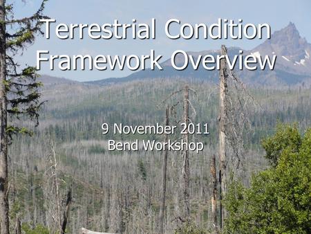 Terrestrial Condition Framework Overview 9 November 2011 Bend Workshop.