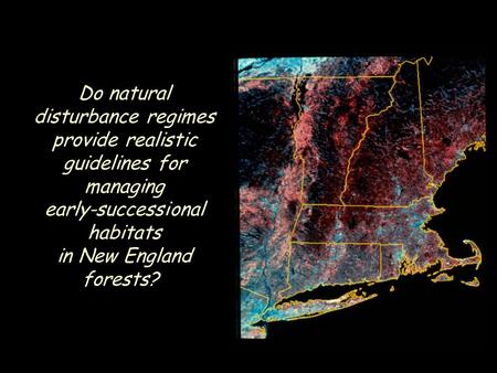 Do natural disturbance regimes provide realistic guidelines for managing early-successional habitats in New England forests?