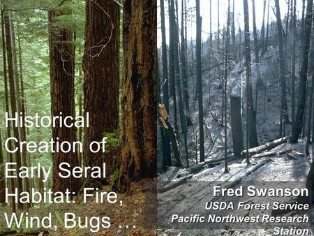 Historical Creation of Early Seral Habitat: Fire, Wind, Bugs …