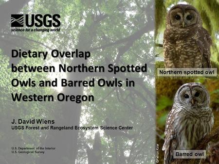 Dietary Overlap between Northern Spotted Owls and Barred Owls in Western Oregon J. David Wiens USGS Forest and Rangeland Ecosystem Science Center U.S.