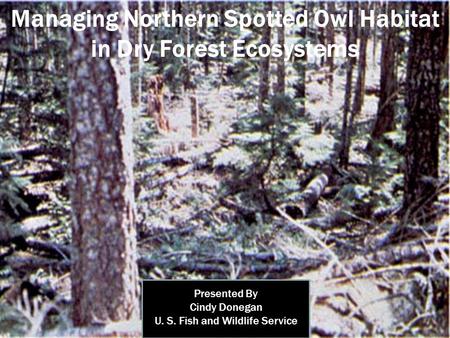 Managing Northern Spotted Owl Habitat in Dry Forest Ecosystems Presented By Cindy Donegan U. S. Fish and Wildlife Service.
