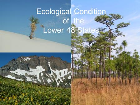 Ecological Condition of the Lower 48 States. TNCs Mission …to preserve the plants, animals and natural communities that represent the diversity of life.
