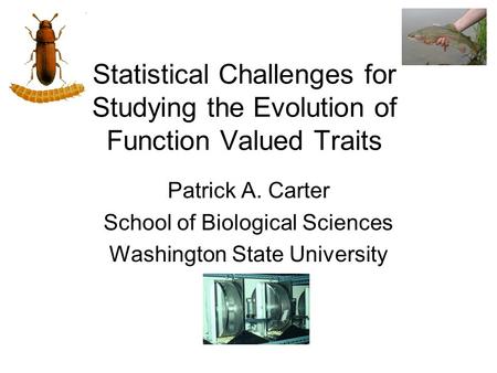 Statistical Challenges for Studying the Evolution of Function Valued Traits Patrick A. Carter School of Biological Sciences Washington State University.