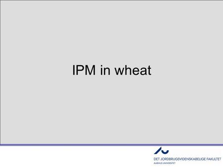 IPM in wheat. The EU requires IPM by 2014 - what does this mean??? 1.Blind Chemical control –Schematic and routine treatments 2.Chemical control based.
