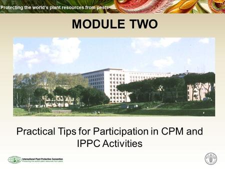 MODULE TWO Practical Tips for Participation in CPM and IPPC Activities.