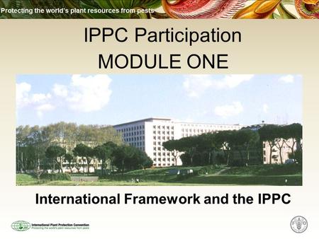 International Framework and the IPPC MODULE ONE IPPC Participation.