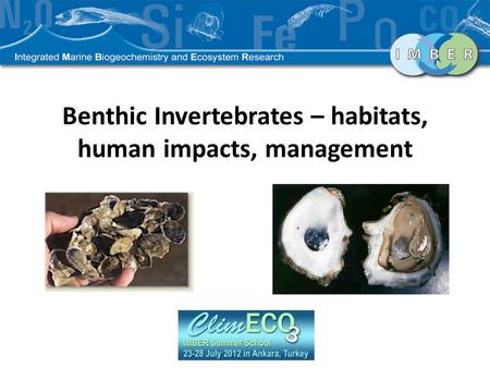 Benthic Invertebrates – habitats, human impacts, management