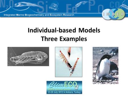 Individual-based Models Three Examples