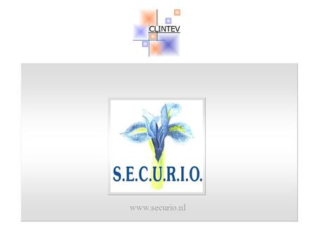 Www.securio.nl. The Netherlands a short introduction concerning the main socio-cultural data.