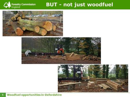 Woodfuel opportunities in Oxfordshire 1 BUT - not just woodfuel.