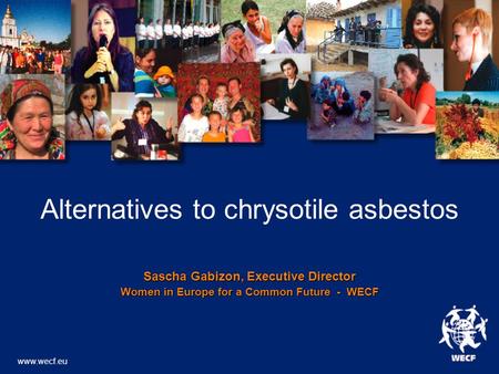 Alternatives to chrysotile asbestos Sascha Gabizon, Executive Director Women in Europe for a Common Future - WECF www.wecf.eu.