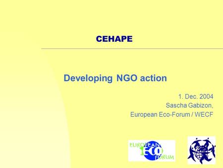 1 CEHAPE 1. Dec. 2004 Sascha Gabizon, European Eco-Forum / WECF Developing NGO action.