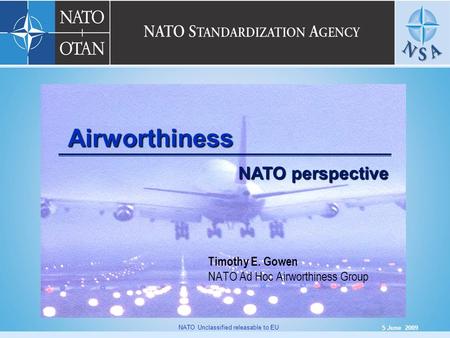 Timothy E. Gowen NATO Ad Hoc Airworthiness Group