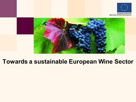 Towards a sustainable European Wine Sector. Towards a sustainable European Wine Sector AGRI – C3 MD 02.06.2006 2 Summary Why a reform ? How to reform?