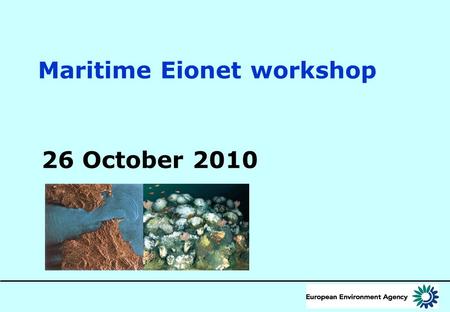 Maritime Eionet workshop