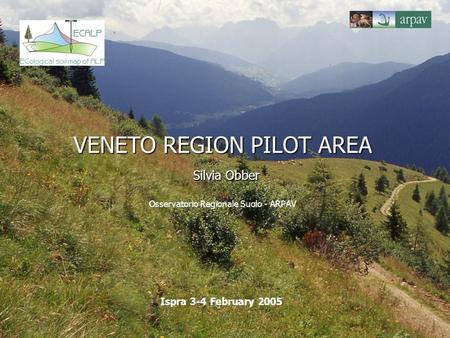 VENETO REGION PILOT AREA Silvia Obber VENETO REGION PILOT AREA Silvia Obber Osservatorio Regionale Suolo - ARPAV Ispra 3-4 February 2005.