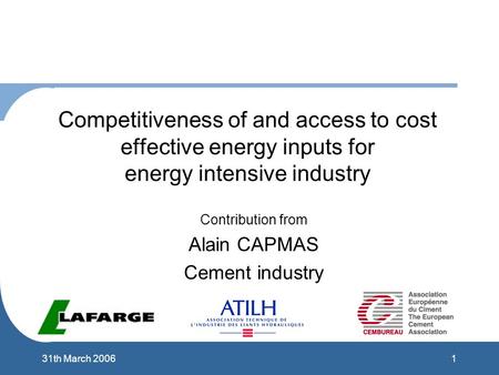 131th March 2006 Competitiveness of and access to cost effective energy inputs for energy intensive industry Contribution from Alain CAPMAS Cement industry.