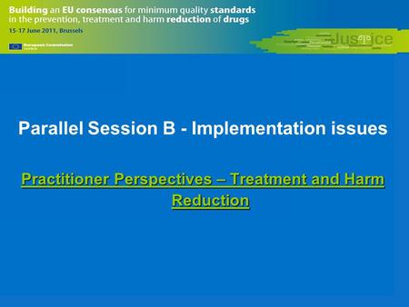 Parallel Session B - Implementation issues Practitioner Perspectives – Treatment and Harm Reduction.