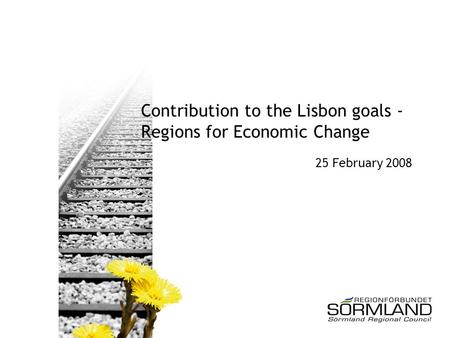 Contribution to the Lisbon goals - Regions for Economic Change 25 February 2008.