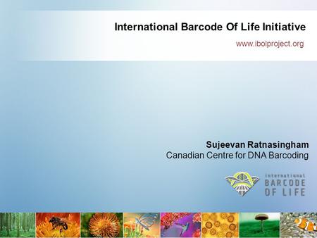 International Barcode Of Life Initiative