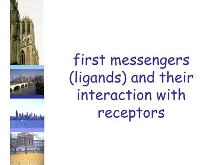 First messengers (ligands) and their interaction with receptors.