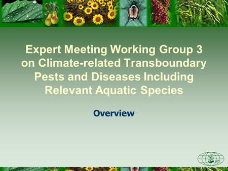 Expert Meeting Working Group 3 on Climate-related Transboundary Pests and Diseases Including Relevant Aquatic Species Overview.