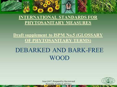 June 2007, Prepared by the steward Ringolds Arnitis (LATVIA) 1 INTERNATIONAL STANDARDS FOR PHYTOSANITARY MEASURES Draft supplement to ISPM No.5 (GLOSSARY.