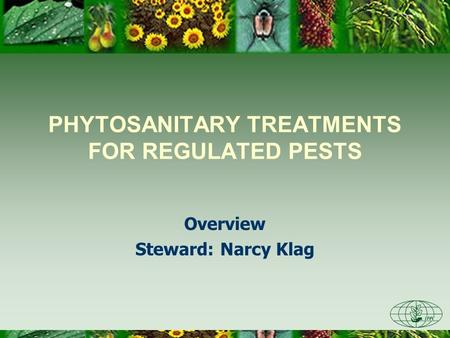 PHYTOSANITARY TREATMENTS FOR REGULATED PESTS Overview Steward: Narcy Klag.