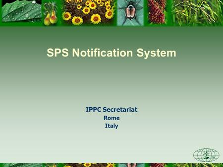 SPS Notification System IPPC Secretariat Rome Italy.