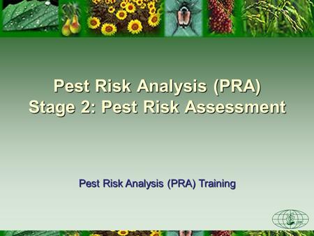 Pest Risk Analysis (PRA) Stage 2: Pest Risk Assessment Pest Risk Analysis (PRA) Training.
