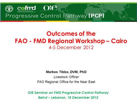 Outcomes of the FAO - FMD Regional Workshop – Cairo 4-5 December 2012