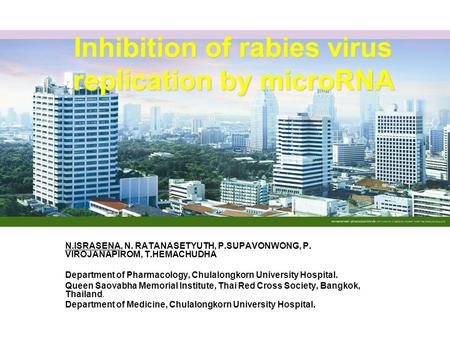 Inhibition of rabies virus replication by microRNA N.ISRASENA, N. RATANASETYUTH, P.SUPAVONWONG, P. VIROJANAPIROM, T.HEMACHUDHA Department of Pharmacology,