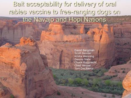 Bait acceptability for delivery of oral rabies vaccine to free-ranging dogs on the Navajo and Hopi Nations David Bergman Scott Bender Krista Wenning Dennis.
