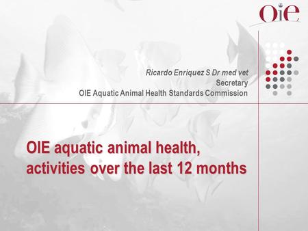 OIE aquatic animal health, activities over the last 12 months Ricardo Enriquez S Dr med vet Secretary OIE Aquatic Animal Health Standards Commission.