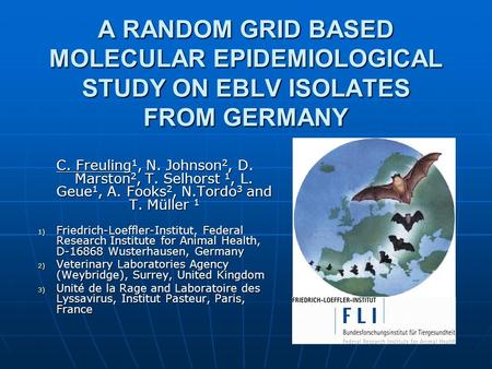 A RANDOM GRID BASED MOLECULAR EPIDEMIOLOGICAL STUDY ON EBLV ISOLATES FROM GERMANY C. Freuling 1, N. Johnson 2, D. Marston 2, T. Selhorst 1, L. Geue 1,