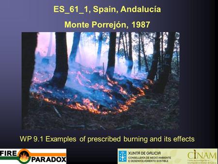 ES_61_1, Spain, Andalucía Monte Porrejón, 1987 WP 9.1 Examples of prescribed burning and its effects.
