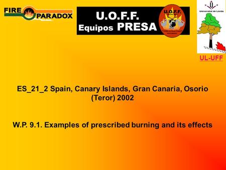 ES_21_2 Spain, Canary Islands, Gran Canaria, Osorio (Teror) 2002 W.P. 9.1. Examples of prescribed burning and its effects UL-UFF.