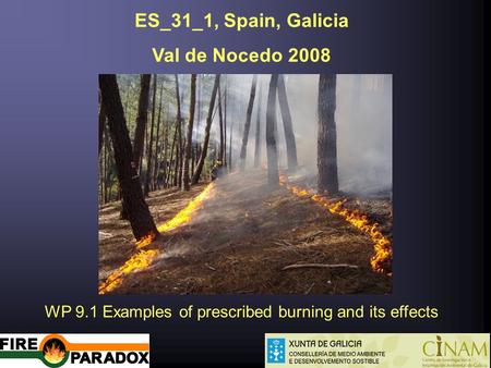 ES_31_1, Spain, Galicia Val de Nocedo 2008 WP 9.1 Examples of prescribed burning and its effects.