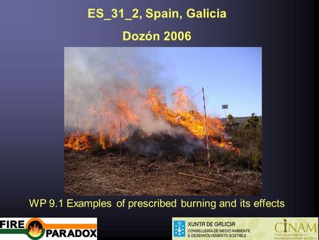 ES_31_2, Spain, Galicia Dozón 2006 WP 9.1 Examples of prescribed burning and its effects.