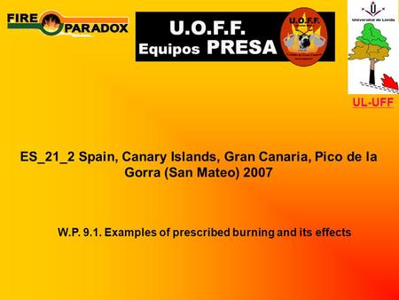 ES_21_2 Spain, Canary Islands, Gran Canaria, Pico de la Gorra (San Mateo) 2007 W.P. 9.1. Examples of prescribed burning and its effects UL-UFF.
