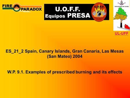 ES_21_2 Spain, Canary Islands, Gran Canaria, Las Mesas (San Mateo) 2004 W.P. 9.1. Examples of prescribed burning and its effects UL-UFF.