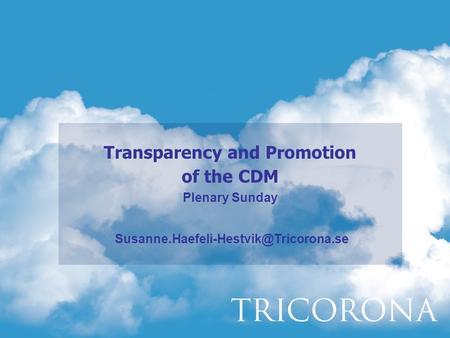 Transparency and Promotion of the CDM Plenary Sunday
