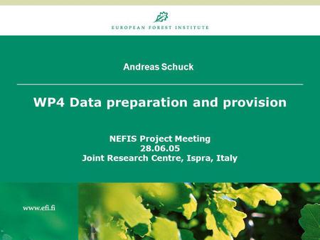 Andreas Schuck WP4 Data preparation and provision NEFIS Project Meeting 28.06.05 Joint Research Centre, Ispra, Italy.