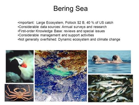 Bering Sea Important: Large Ecosystem, Pollock $2 B, 40 % of US catch Considerable data sources: Annual surveys and research First-order Knowledge Base: