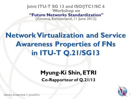 Network Virtualization and Service Awareness Properties of FNs