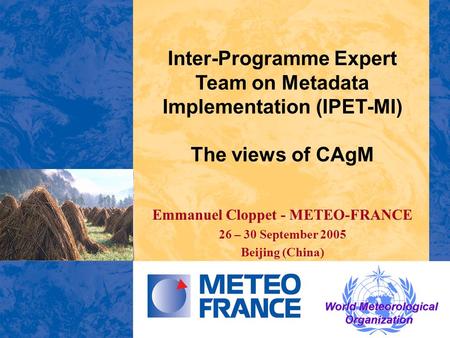 Inter-Programme Expert Team on Metadata Implementation (IPET-MI) The views of CAgM Emmanuel Cloppet - METEO-FRANCE 26 – 30 September 2005 Beijing (China)